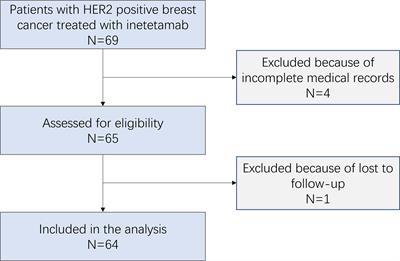 Efficacy and safety of inetetamab-containing regimens in patients with HER2-positive metastatic breast cancer: a real-world retrospective study in China